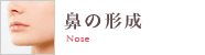 鼻の形成
