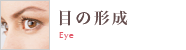 女性器形成