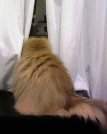 プリモ麻布十番日記