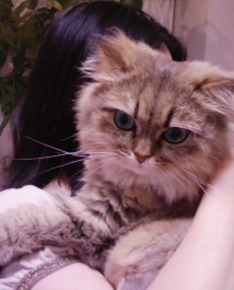 プリモ麻布十番日記