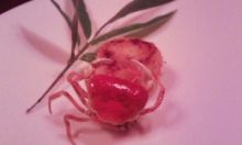 プリモ麻布十番日記