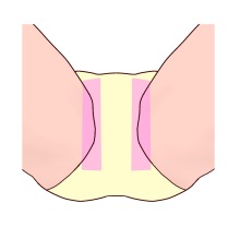 プリモ麻布十番日記