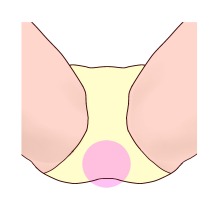 プリモ麻布十番日記