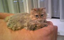 プリモ麻布十番日記