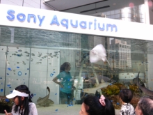 プリモ麻布十番日記