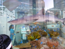 プリモ麻布十番日記