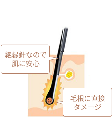 電流を流すステップ