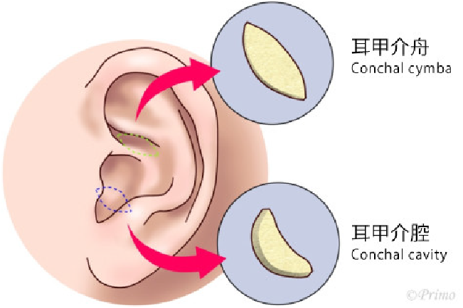 鼻翼修正術症状