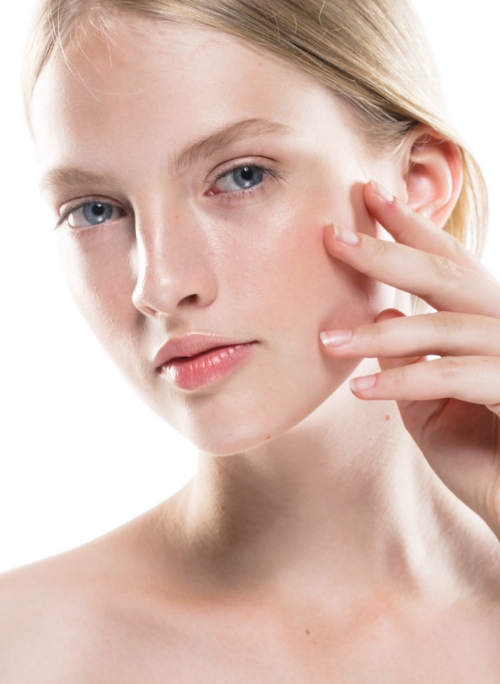 sample_3-500x684 sample_3-500x684